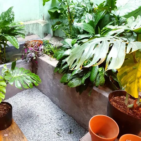 Yen Homestay Hue Exterior photo